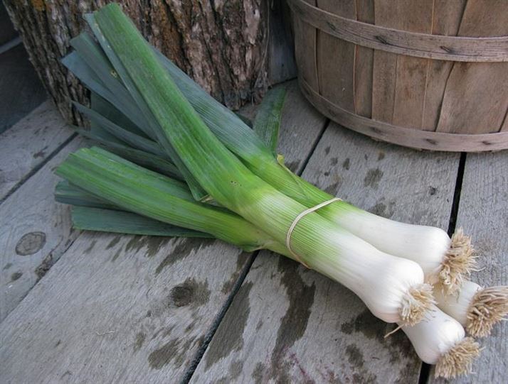 5 món ăn 'nuôi' hệ tiêu hóa khỏe như uống probiotic!- Ảnh 3.