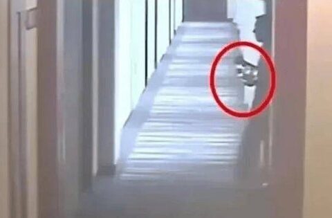 Bố lấy trộm chai nước trong khách sạn, con trả giá bằng mạng sống: Bài học về lòng trung thực và sự cẩn trọng