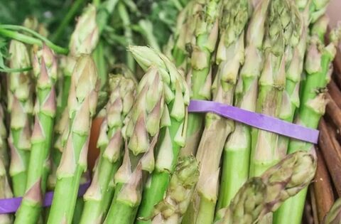 Muốn chọn mua được măng tây tươi ngon giòn ngọt, đừng bỏ qua 4 lưu ý này