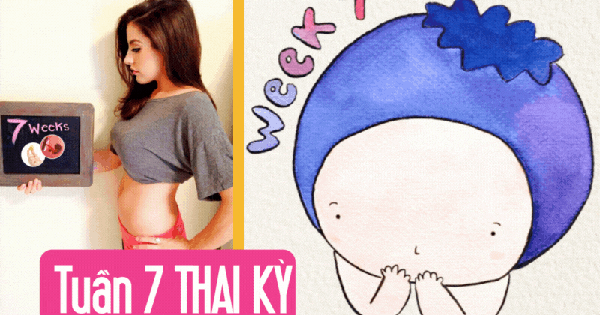 Tuần thai thứ 7: Thai phát triển nhanh, tay chân bé bắt đầu hình thành