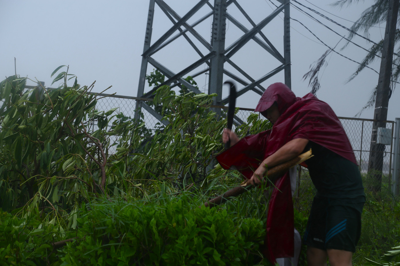 Bão số 5 chuẩn bị đổ bộ: Nhiều khu vực bắt đầu mưa trắng trời, hạn chế đi trên quốc lộ 1A, cao tốc Bắc - Nam qua Nghệ An- Ảnh 3.