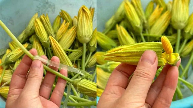 Vào tháng Tám nếu thấy loại 