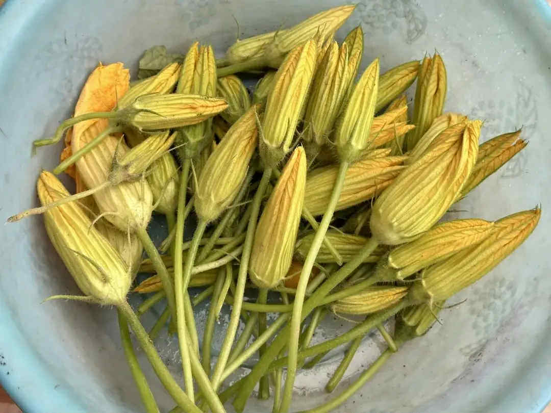 Vào tháng Tám nếu thấy loại 