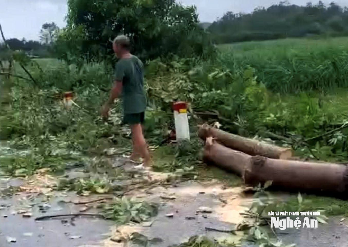 Tình hình bão số 5: Đã có 1 người chết, 8 người bị thương; Sân Pickleball tiền tỷ đổ sập- Ảnh 22.