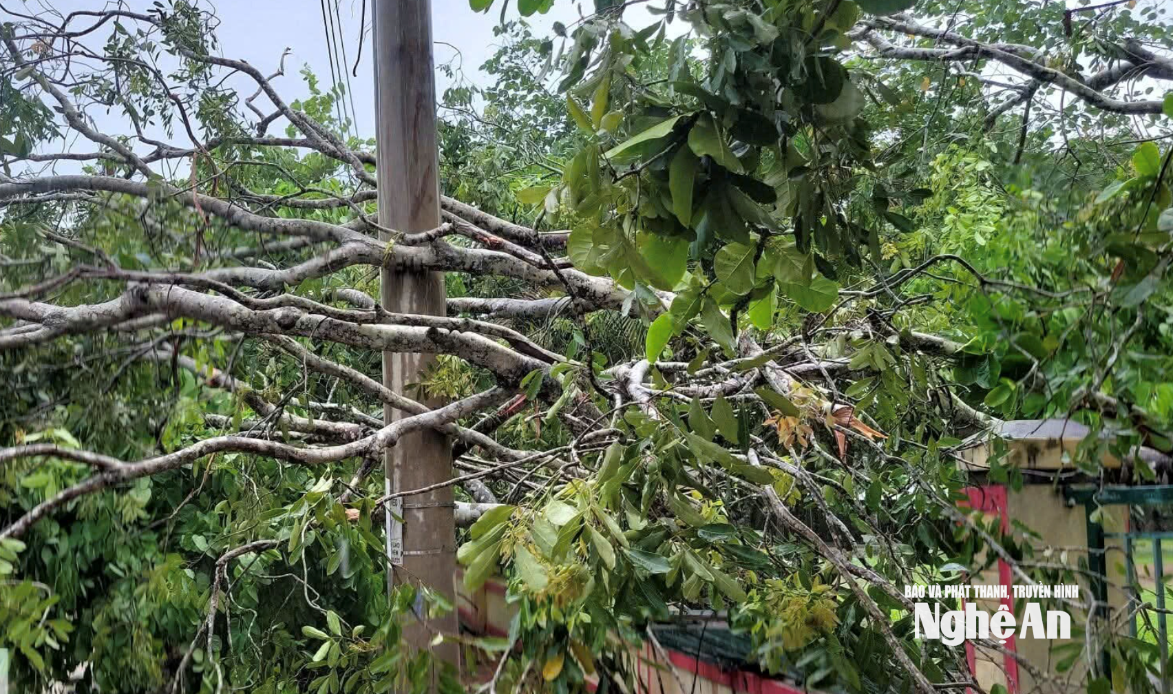 Tình hình bão số 5: Đã có 1 người chết, 8 người bị thương; Sân Pickleball tiền tỷ đổ sập- Ảnh 21.