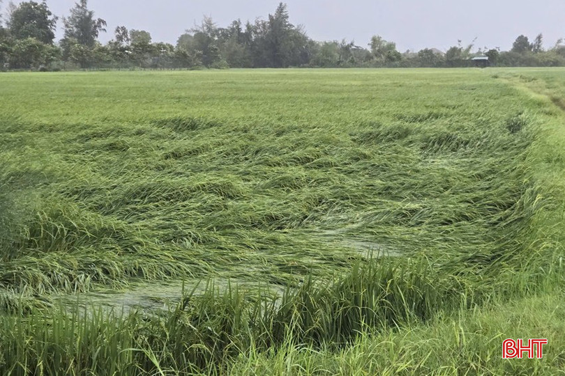 Bão số 5 chuẩn bị đổ bộ: Nhiều khu vực bắt đầu mưa trắng trời, hạn chế đi trên quốc lộ 1A, cao tốc Bắc - Nam qua Nghệ An- Ảnh 28.