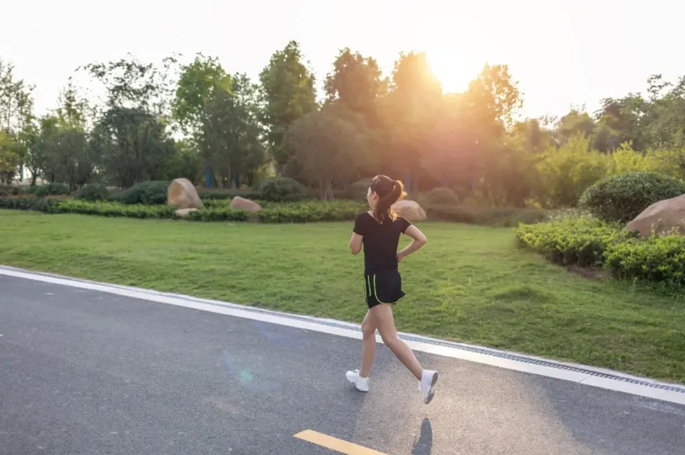 Đi bộ hay chạy bộ 5km: Cách nào giúp cơ thể khỏe hơn, đốt mỡ nhanh hơn?- Ảnh 1.