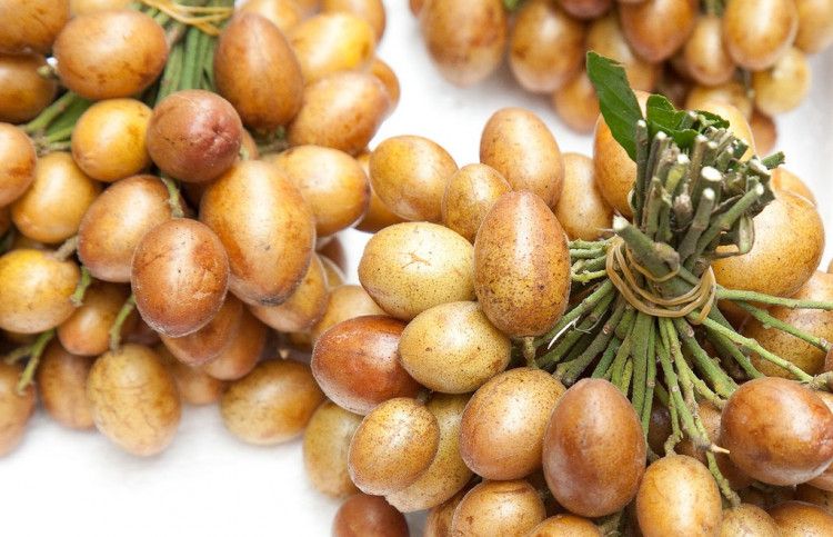 Thứ quả mùa hè 