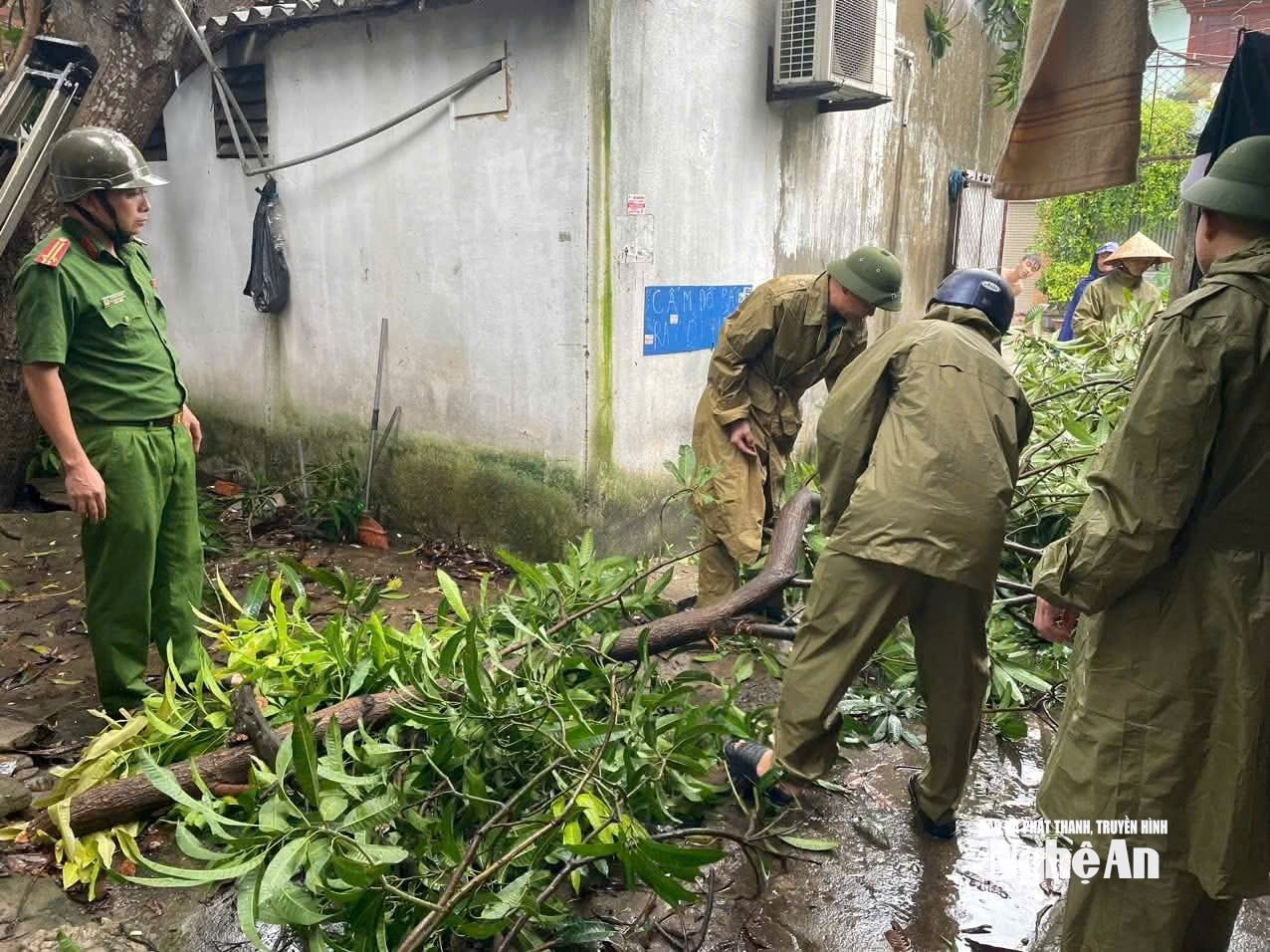 Tình hình bão số 5: Đã có 1 người chết, 8 người bị thương; Sân Pickleball tiền tỷ đổ sập- Ảnh 19.