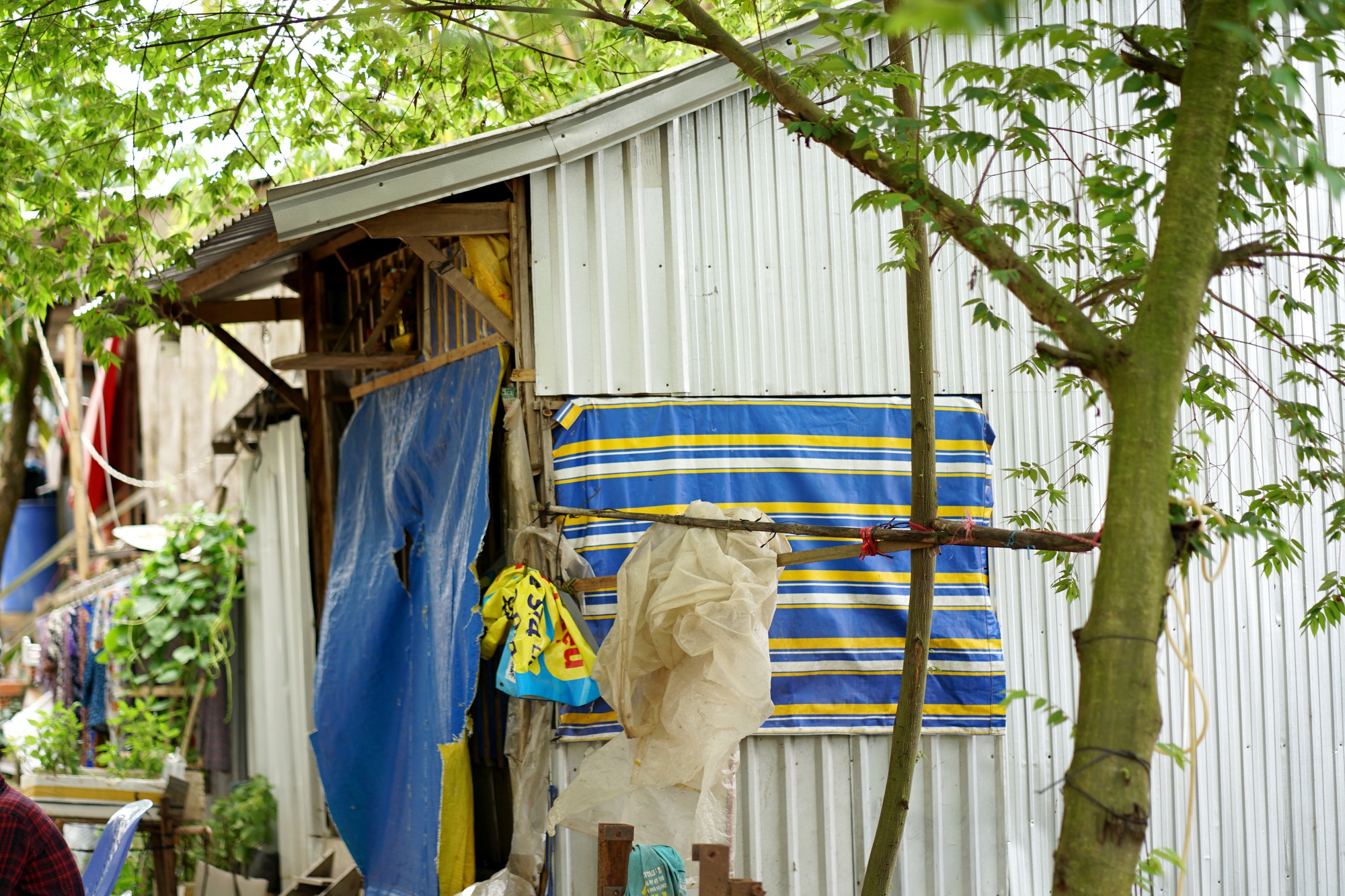 Chuyện người đàn ông nghèo 11 năm cưu mang 