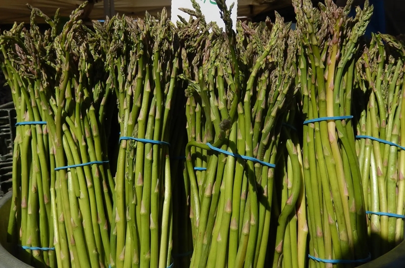 Muốn chọn mua được măng tây tươi ngon giòn ngọt, đừng bỏ qua 4 lưu ý này- Ảnh 1. Muốn chọn mua được măng tây tươi ngon giòn ngọt, đừng bỏ qua 4 lưu ý này- Ảnh 1.