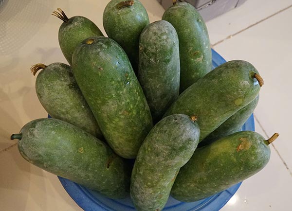 Ăn bí đao sai cách: Thận tổn thương lúc nào không hay! 4 điều ai cũng cần biết- Ảnh 1.