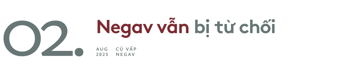 Cú vấp Negav- Ảnh 5.