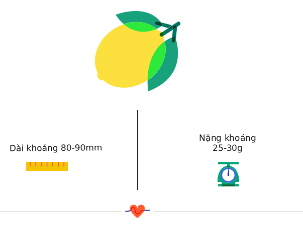 Tuần thai thứ 14: Bé bắt đầu mọc lông mày, mẹ có thể cảm nhận con cử động trong bụng- Ảnh 3.