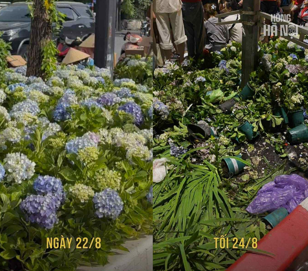 Yêu nước, thì đừng làm những điều này!- Ảnh 1.