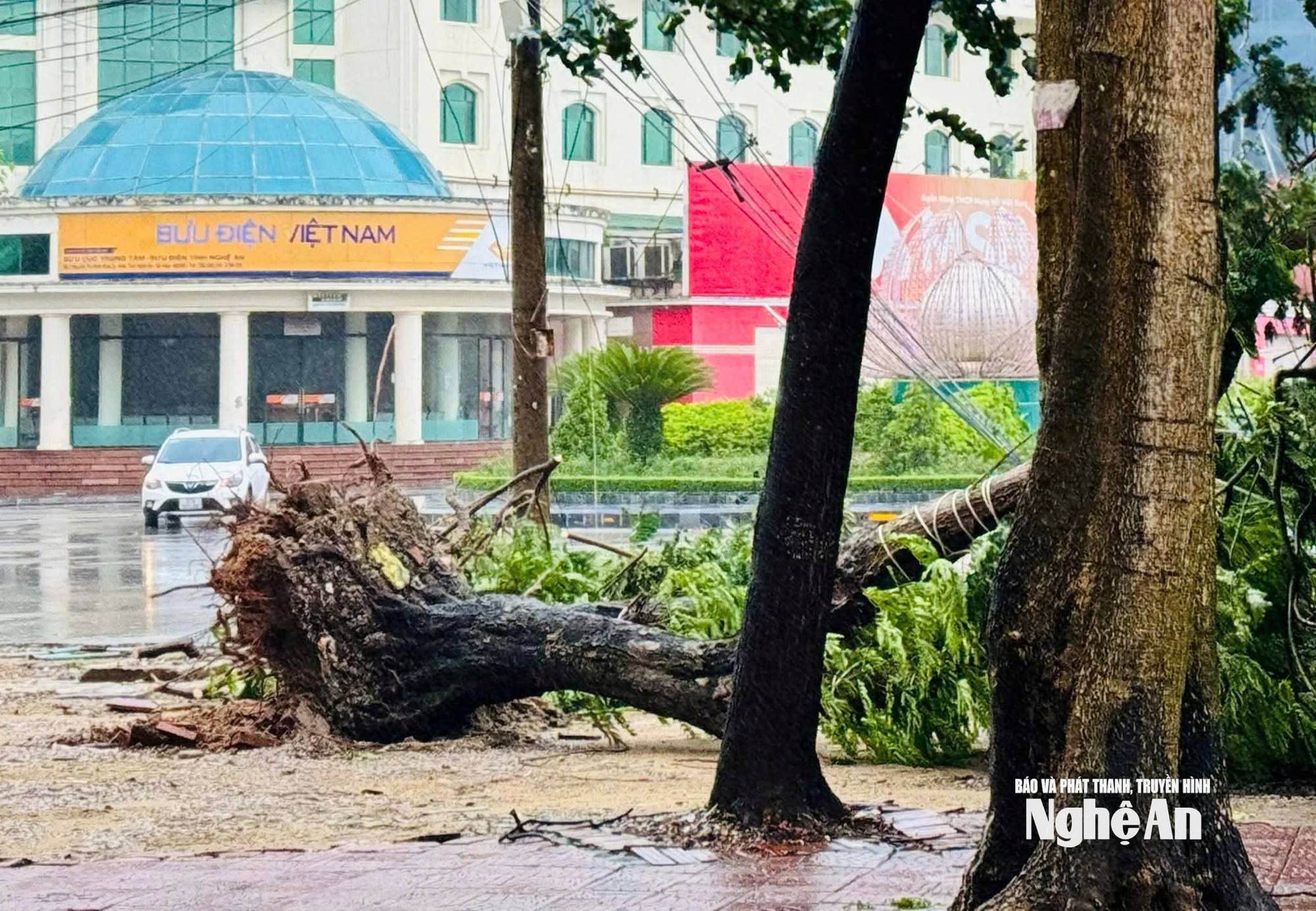 Tình hình bão số 5: Đã có 1 người chết, 8 người bị thương; Sân Pickleball tiền tỷ đổ sập- Ảnh 18.