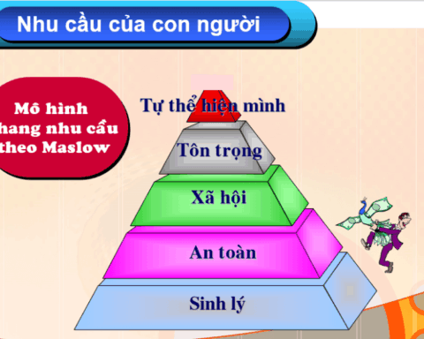 Cung và cầu là gì? Phân tích thị trường cung cầu và giá thị trường