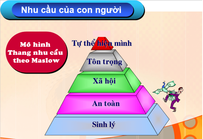 Cung và cầu là gì? Phân tích thị trường cung cầu và giá thị trường