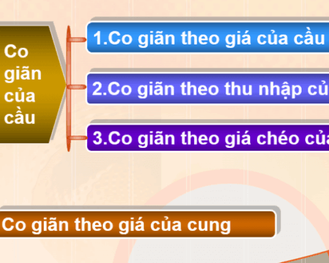 Độ Co Giãn Của Cầu Và Cung Theo Giá? Khái Niệm – Ví Dụ