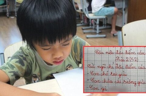 Học sinh tiểu học tả con gà, sáng tạo ra 1 từ khiến nhiều người tra từ điển muốn ngất vẫn không ra đáp án