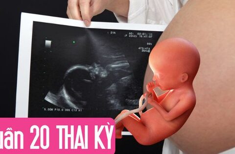 Tuần thai thứ 20: Mẹ đã đi được nửa thai kỳ, phổi và giác quan của bé phát triển mạnh