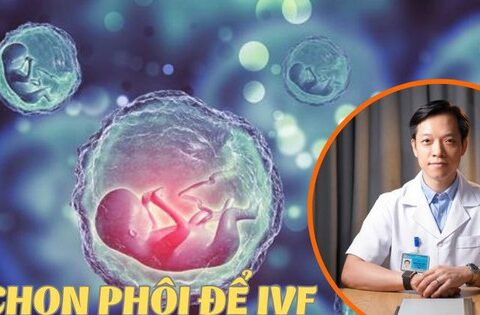 Bác sĩ sản khoa tiết lộ: Phôi tươi hay phôi đông lạnh tốt hơn, khi nào thì nên chuyển phôi tươi?