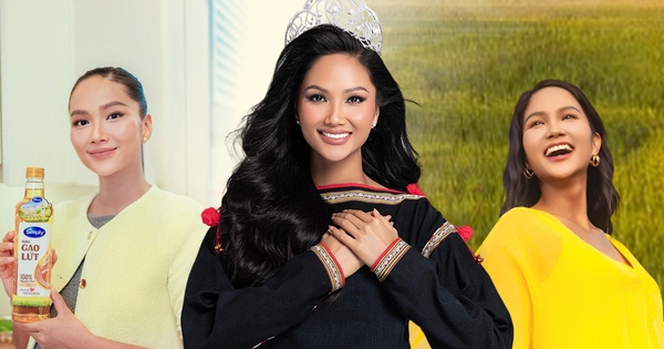 H’Hen Niê tự hào với “dầu ăn cho trái tim” được sản xuất từ cánh đồng lúa Việt