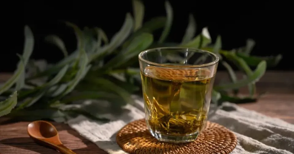 Uống trà hay uống cà phê, ai trẻ lâu hơn? Kết quả nghiên cứu khiến nhiều người bất ngờ