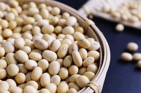 4 thực phẩm “sinh progesterone” phụ nữ trên 45 tuổi nên ăn nhiều