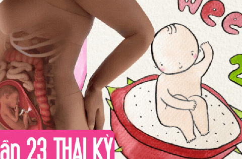 Tuần thai thứ 23: Bé tăng cân nhanh, mẹ bắt đầu có cơn co tử cung Braxton Hicks