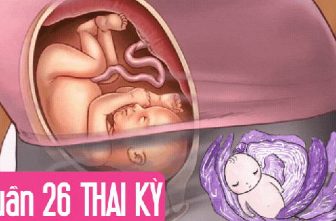 Tuần thai thứ 26: Bé yêu đã có thể mở mắt, còn mẹ bắt đầu khó ngủ