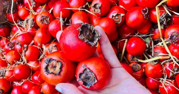 Đừng lầm tưởng! 3 loại trái cây nhiều người ăn để giảm cân lại khiến đường huyết tăng vọt