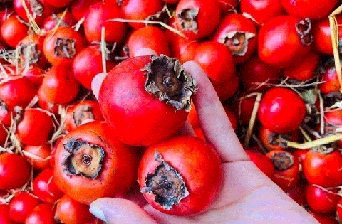 Đừng lầm tưởng! 3 loại trái cây nhiều người ăn để giảm cân lại khiến đường huyết tăng vọt