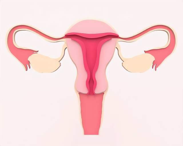 70% ung thư buồng trứng được chẩn đoán ở giai đoạn cuối: Phụ nữ sau tuổi 40 nếu gặp triệu chứng này cần khám ngay- Ảnh 3.