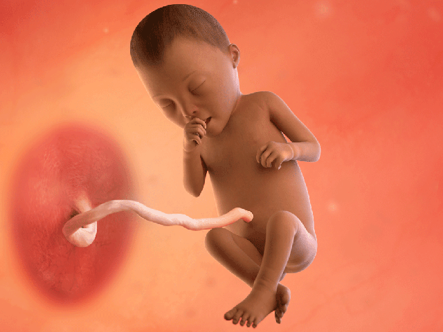 Tuần thai thứ 26: Bé yêu đã có thể mở mắt, còn mẹ bắt đầu khó ngủ- Ảnh 6.