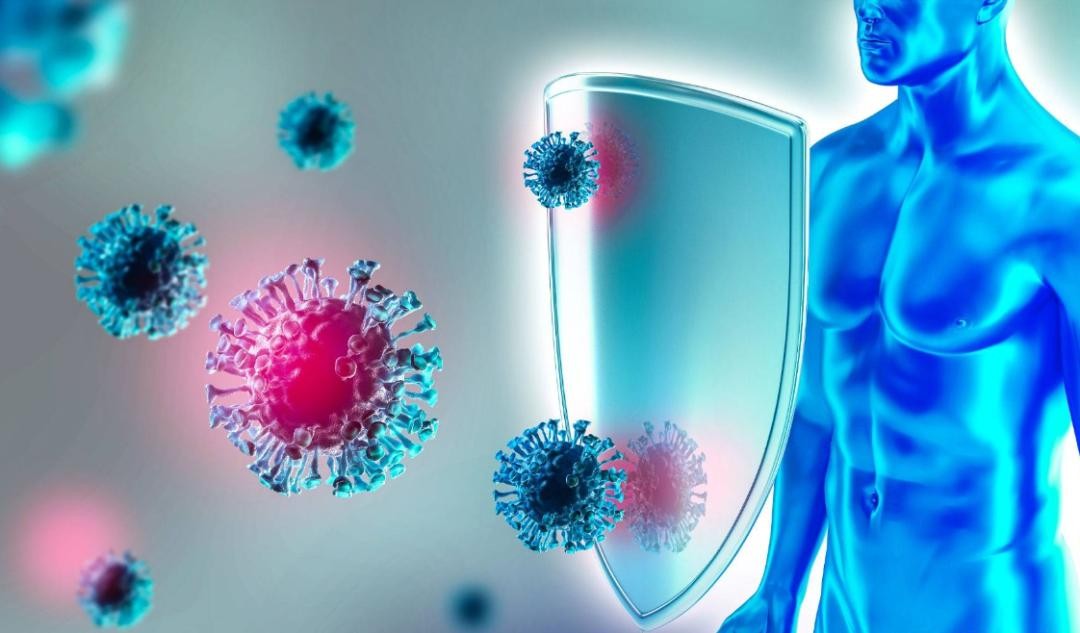 Thịt nên để trong ngăn đông tủ lạnh bao lâu? Lấy ra rã đông rồi lại cất vào nhiều lần có nên tiếp tục ăn?- Ảnh 2.