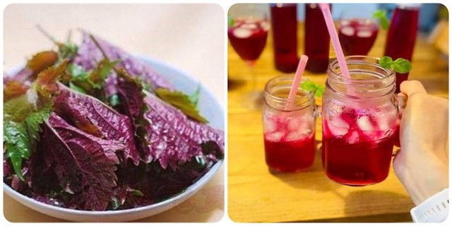 Hết hồn vì rụng tóc, ai ngờ 1 loại lá trong vườn lại là cứu tinh chống rụng tóc, kích thích nhanh mọc tóc con- Ảnh 2.