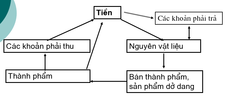 chu ky cua dong tien