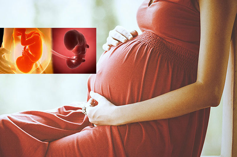 Tác động thần kinh của bệnh đái tháo đường thai kỳ đối với mẹ và con- Ảnh 1.