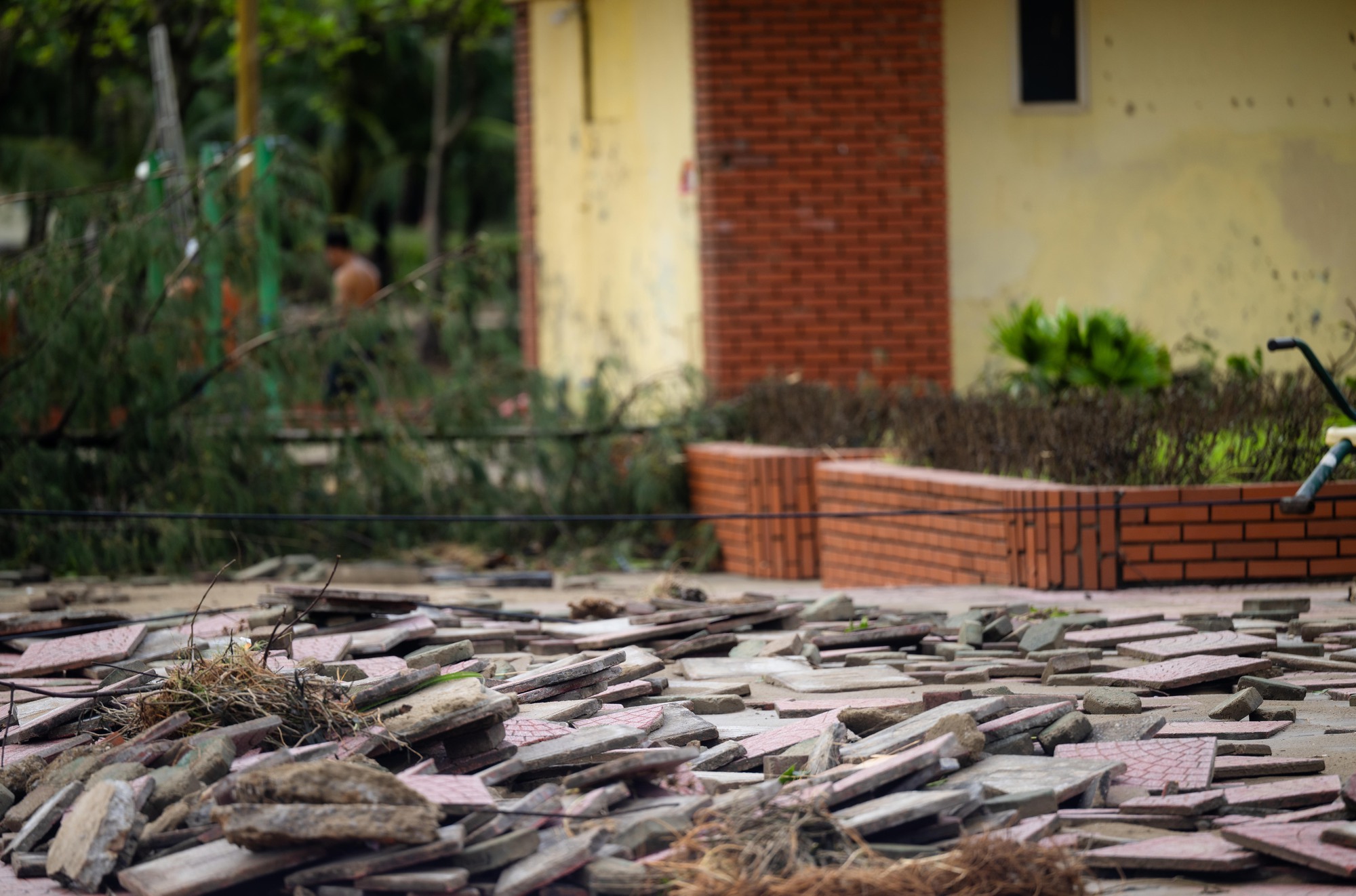 Nhìn Nghệ An sau bão mà muốn khóc!- Ảnh 4.