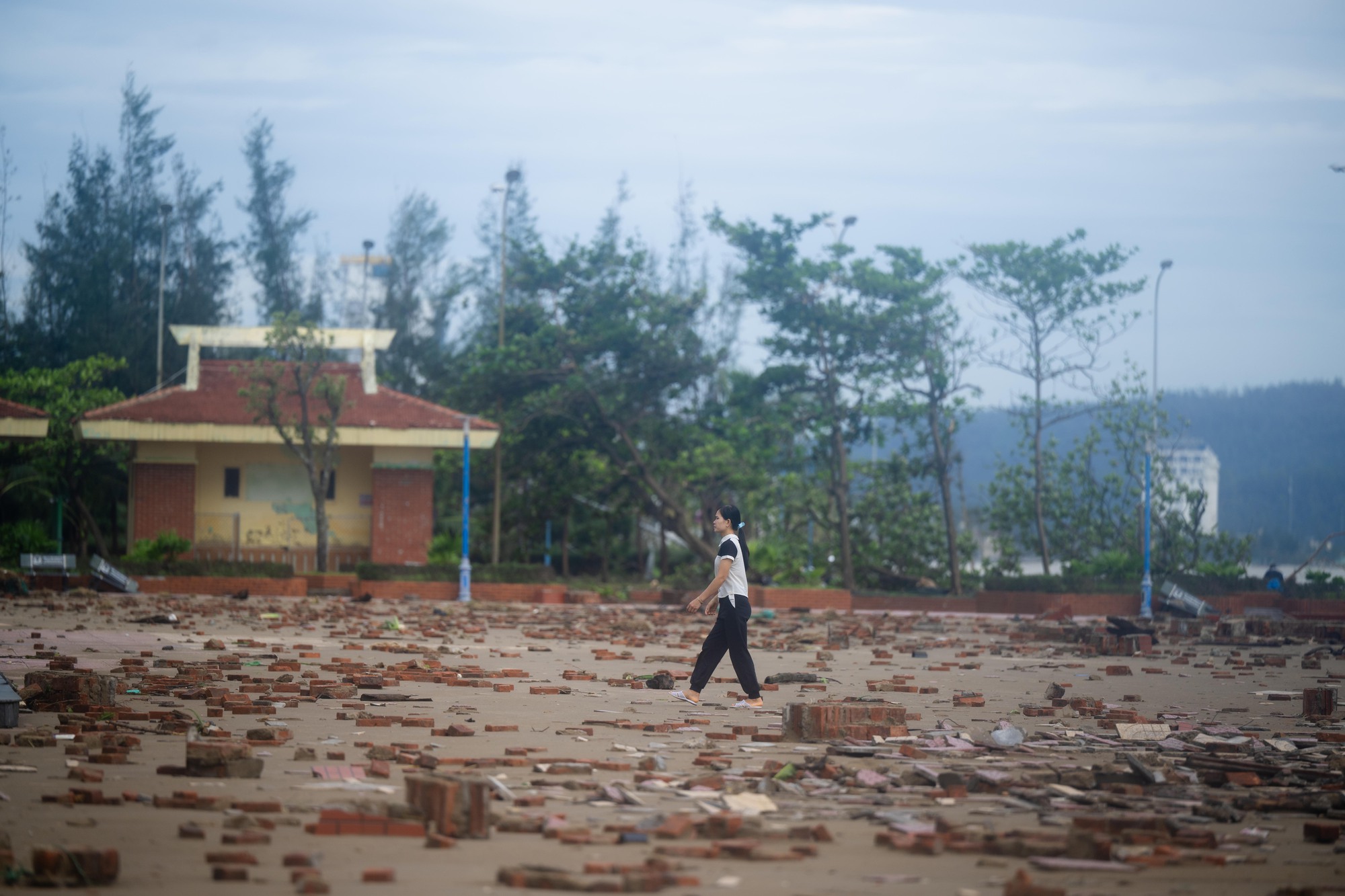 Nhìn Nghệ An sau bão mà muốn khóc!- Ảnh 5.