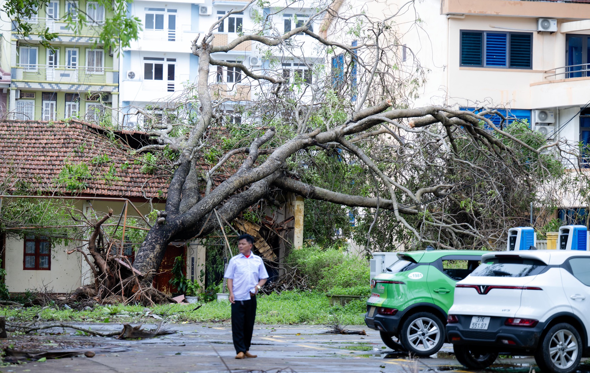 Nhìn Nghệ An sau bão mà muốn khóc!- Ảnh 12.