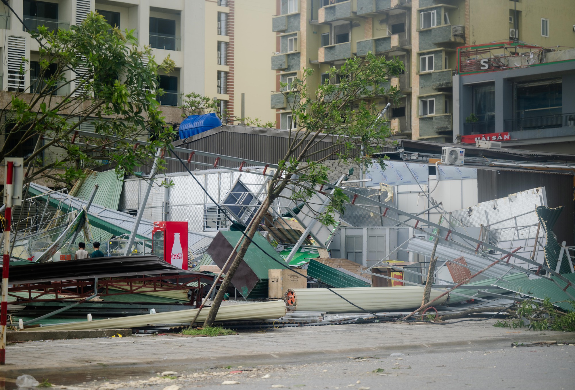 Nhìn Nghệ An sau bão mà muốn khóc!- Ảnh 16.