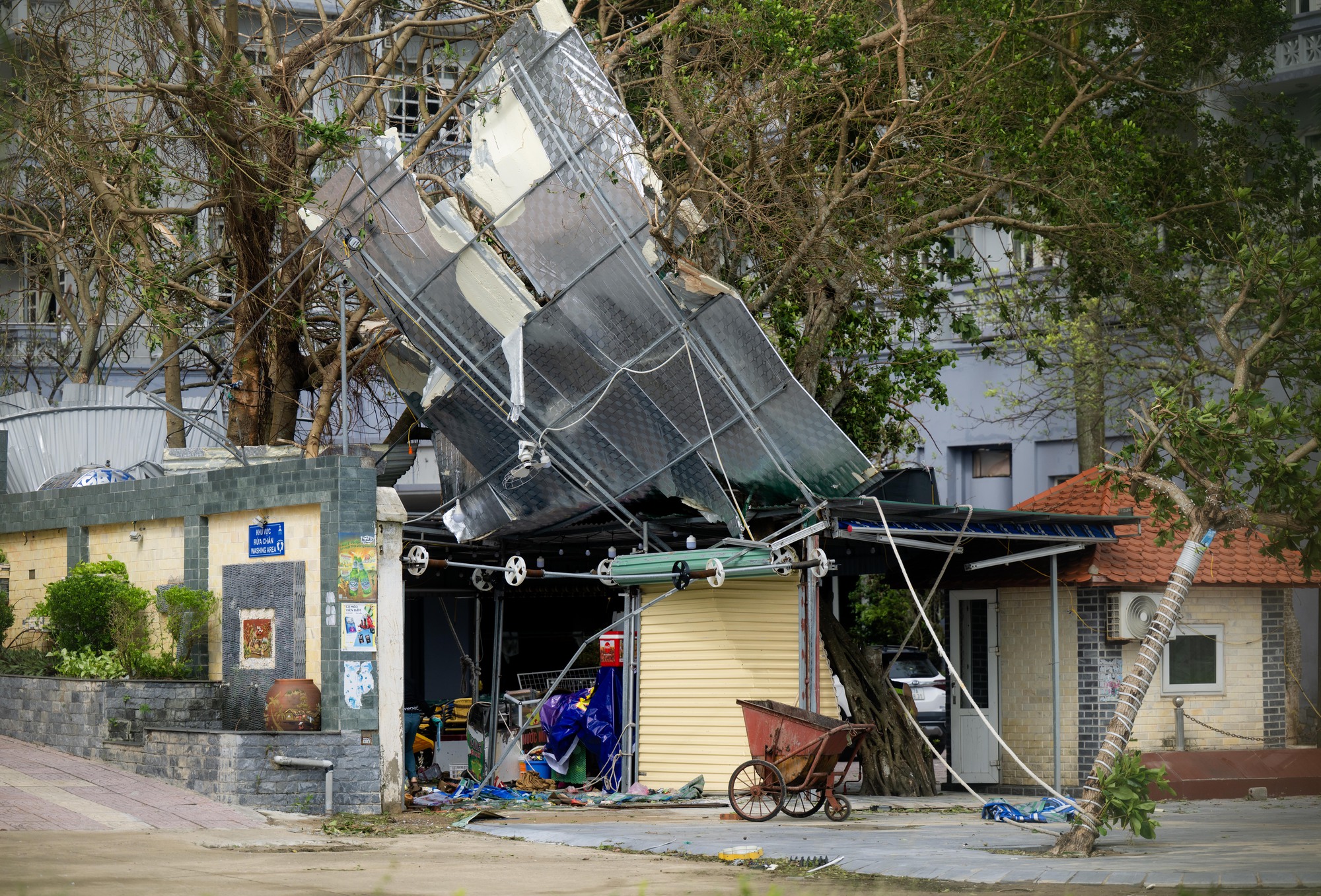 Nhìn Nghệ An sau bão mà muốn khóc!- Ảnh 24.
