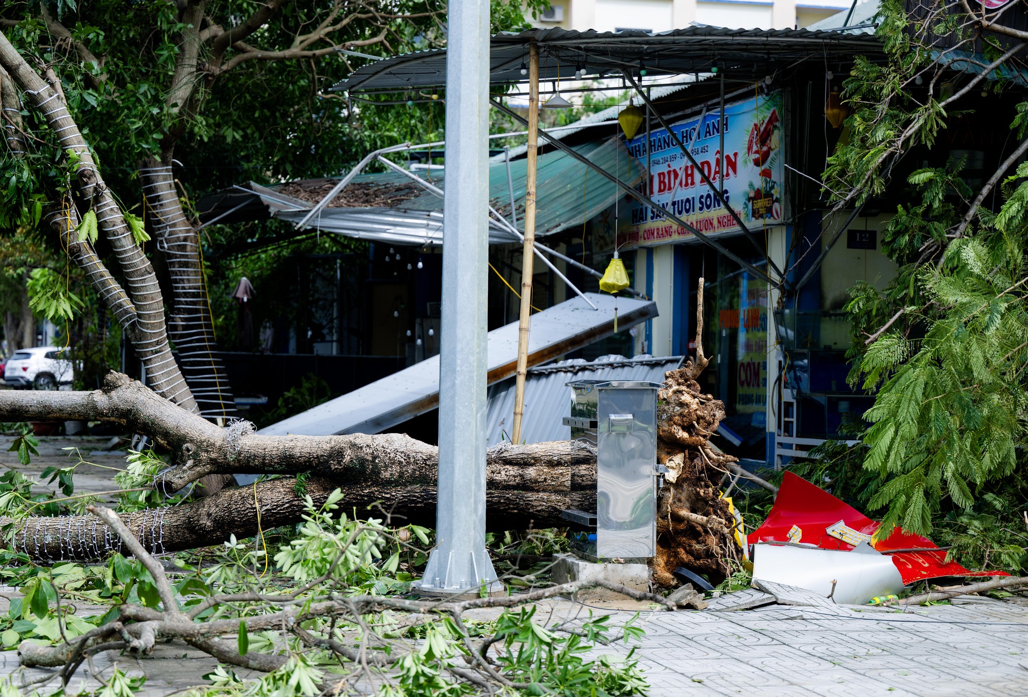 Nhìn Nghệ An sau bão mà muốn khóc!- Ảnh 20.