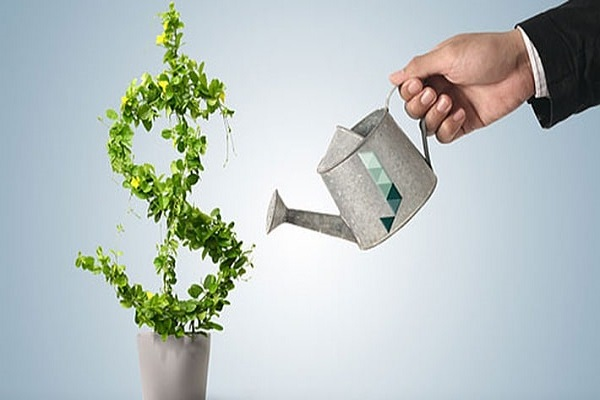 con đường tự do tài chính