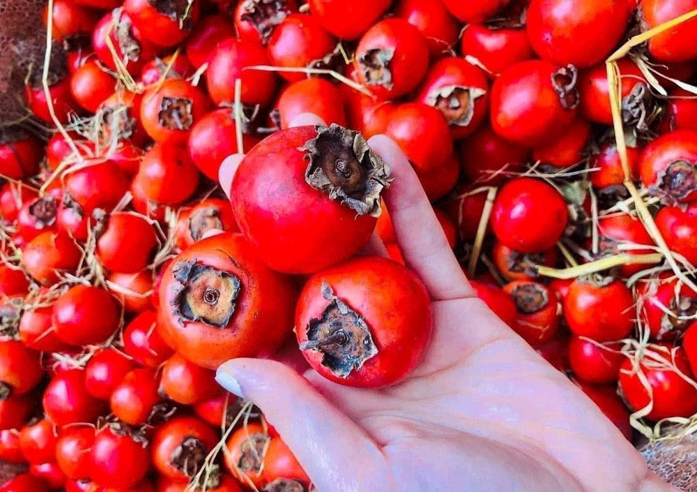 Đừng lầm tưởng! 3 loại trái cây nhiều người ăn để giảm cân lại khiến đường huyết tăng vọt- Ảnh 2.