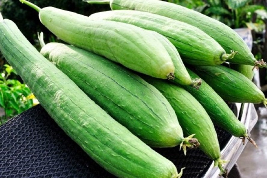 Nhất định phải nấu 4 món ăn này vào mùa thu để thanh nhiệt, giải độc cơ thể và khỏe mạnh khi mùa đông đến- Ảnh 7.