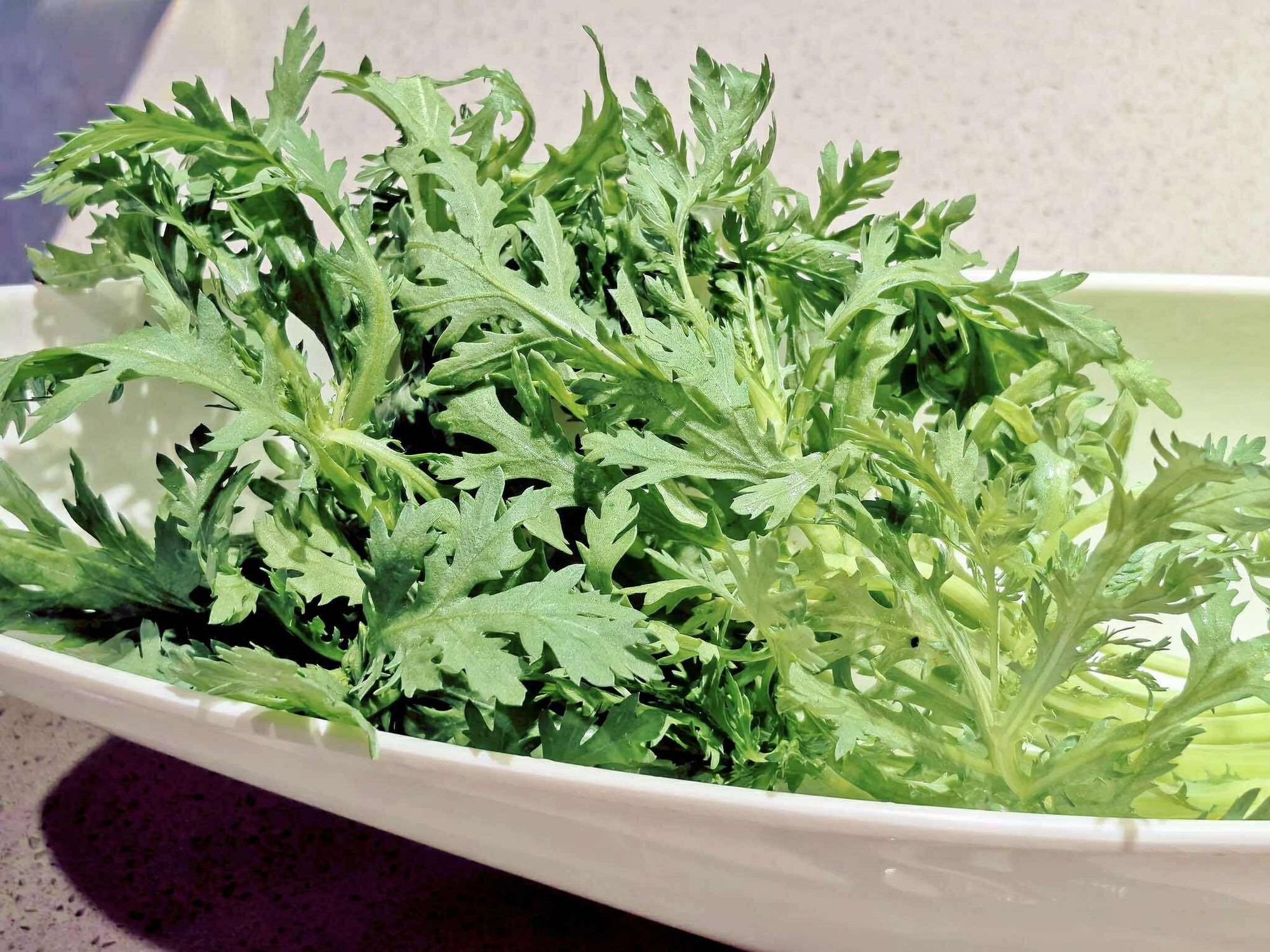 3 loại rau cực bổ phổi: Nấu và ăn luân phiên 1 lần/tuần khi trời lạnh giúp dưỡng ẩm và giải độc cho phổi- Ảnh 1.