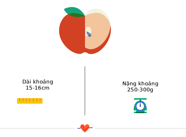 Tuần thai thứ 20: Mẹ đã đi được nửa thai kỳ, phổi và giác quan của bé phát triển mạnh- Ảnh 3.